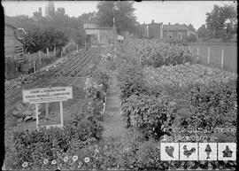 Champs de démonstration du service provincial de l’horticulture