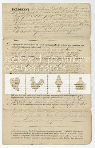 Original Document numérique not accessible